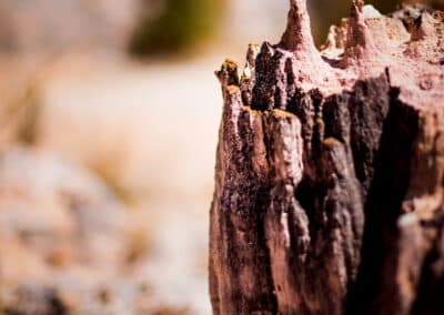 Tsingy - Le cirque Rouge de Mahajanga à Madagascar -photographe mayotte