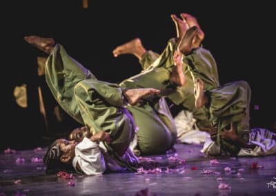 Festival Trépidanses 2026, 7ème édition organisé par Cie Kazyadance et le Royaume des fleurs - ©Eight Photographemayotte