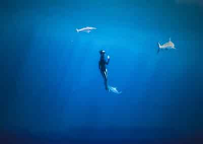 FISMM 2026, Photo du film AquaBallet de Alex Voyer avec Marianne Aventurier