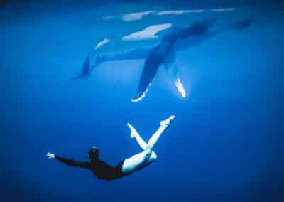 FISMM 2026, Photo du film AquaBallet de Alex Voyer avec Marianne Aventurier